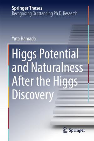 Cover of the book Higgs Potential and Naturalness After the Higgs Discovery by 