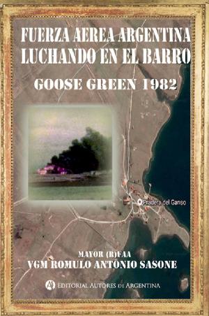 Cover of the book Fuerza Aérea Argentina luchando en el barro : Goose Green 1982 by Rubén Carmelo Santopietro