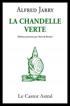 Cover of the book La chandelle verte by Véronique Biefnot, Francis Dannemark