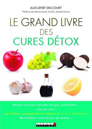 Cover of the book Le Grand Livre des cures détox by Jean-Michel Gurret