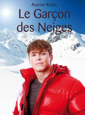 Cover of the book Le Garçon des Neiges by NM Mass