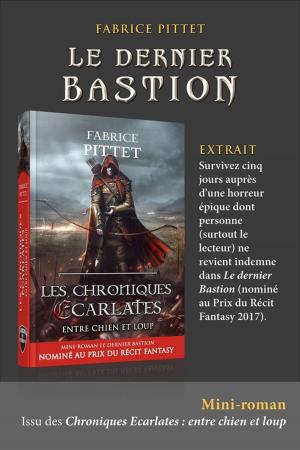 Cover of the book Le dernier Bastion by Nicholas A. Rose