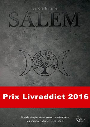 Cover of the book Salem by Rhonda Lee Carver