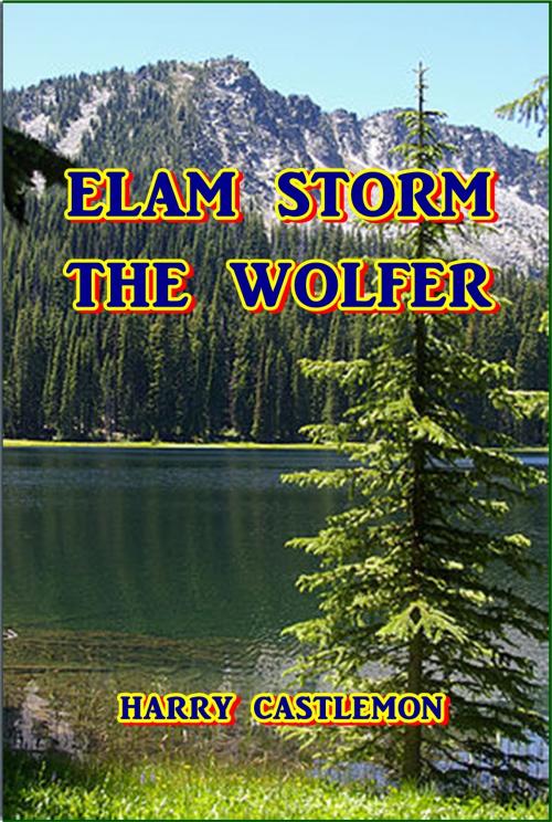 Cover of the book Elam Storm, the Wolfer by Harry Castlemon, Green Bird Press