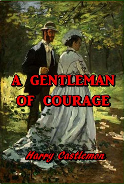 Cover of the book A Gentleman of Courage by James Oliver Curwood, Green Bird Press