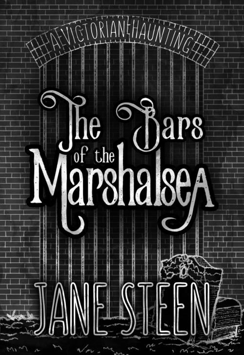 Cover of the book The Bars of the Marshalsea by Jane Steen, Aspidistra Press
