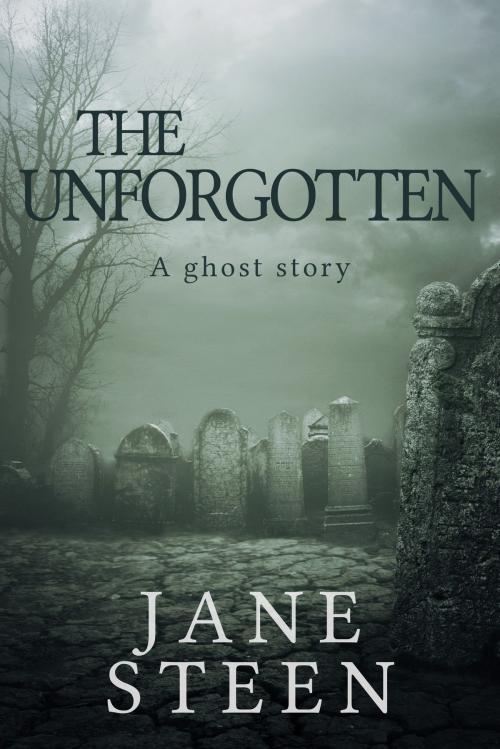 Cover of the book The Unforgotten by Jane Steen, Aspidistra Press