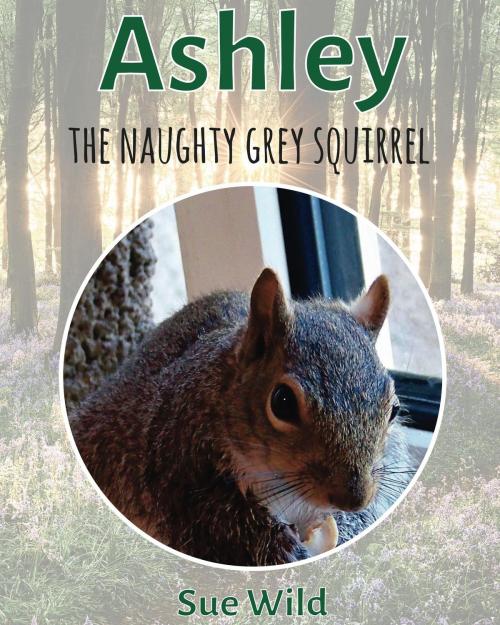 Cover of the book Ashley by Sue wild, Sue Wild