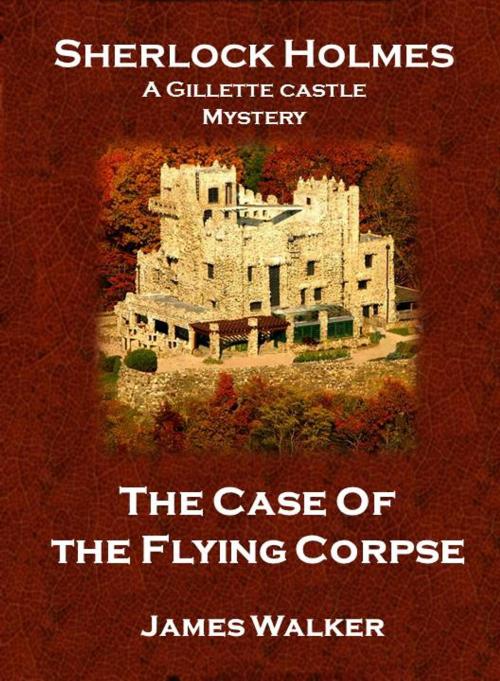 Cover of the book The Case of the Flying Corpse by James Michael Walker, Self Published