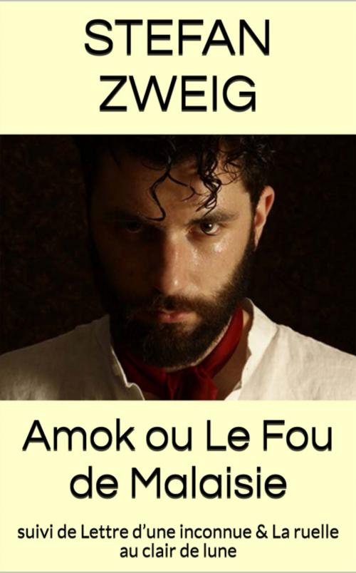 Cover of the book Amok ou Le Fou de Malaisie by Stefan Zweig, YZ Edition