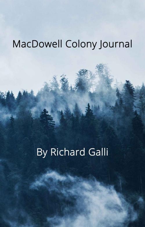 Cover of the book MacDowell Colony Journal by Richard Galli, Richard Galli / RGA