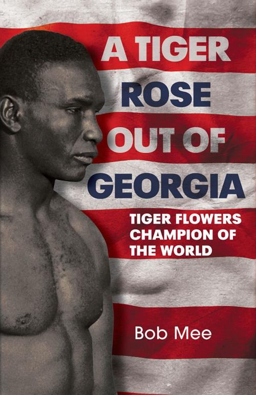 Cover of the book A Tiger Rose Out of Georgia by Bob Mee, Fonthill Media