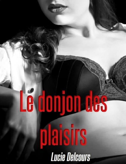 Cover of the book Le donjon des plaisirs by Lucie Delcours, LD Edition