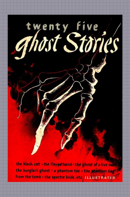 Cover of the book Twenty Five Ghost Stories by W.Bob Holland, JW Publications