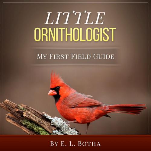 Cover of the book Little Ornithologist by E. L. Botha, E. L. Botha
