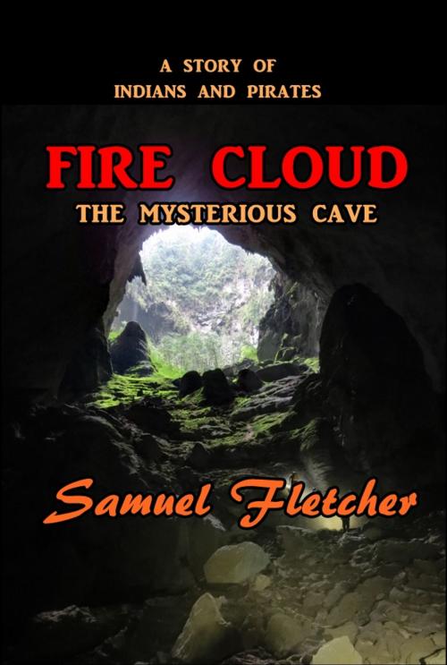 Cover of the book Fire Cloud by Samuel Fletcher, Green Bird Press