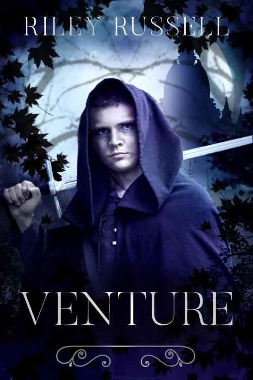 Cover of the book VENTURE by Riley Russell, Morning Gate Press