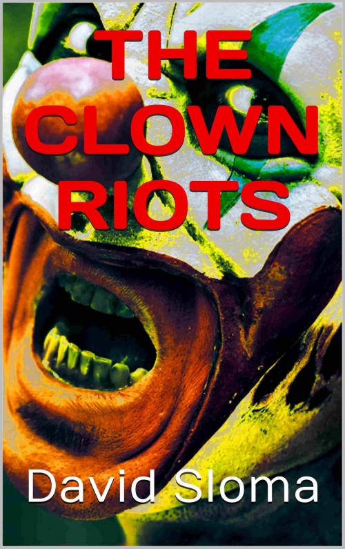 Cover of the book The Clown Riots by David Sloma, Web of Life Solutions