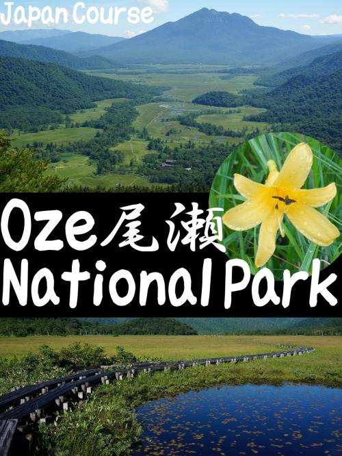 Cover of the book Oze National Park by Hiroshi Satake, Japan Course Inc.