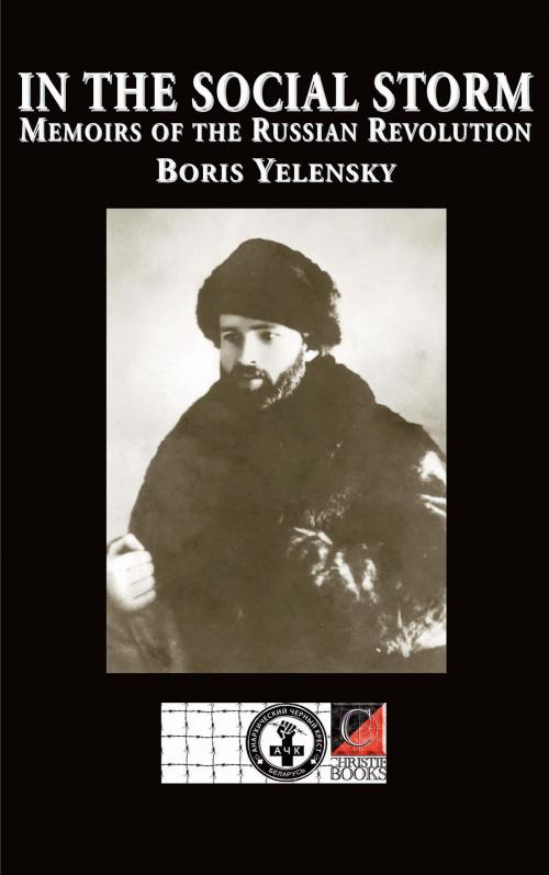 Cover of the book IN THE SOCIAL STORM by Boris Yelensky, ChristieBooks