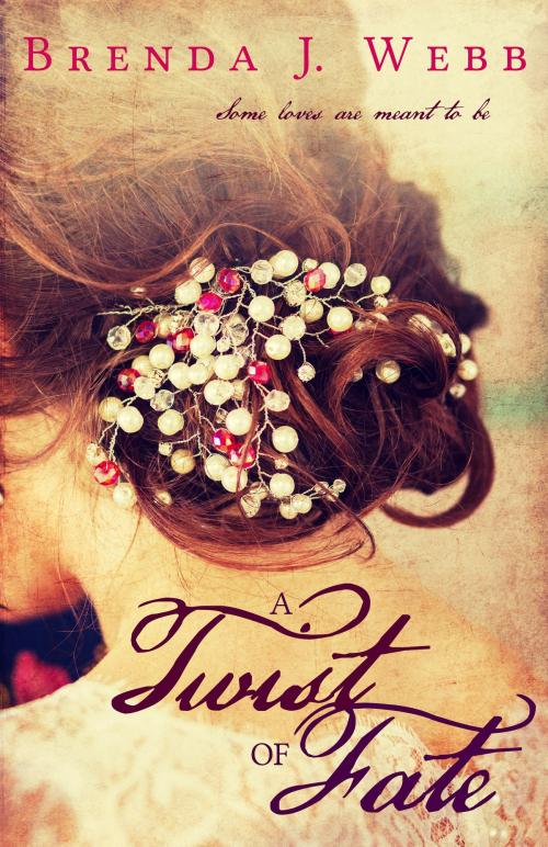 Cover of the book A Twist Of Fate by Brenda J. Webb, Darcy and Lizzy Publications