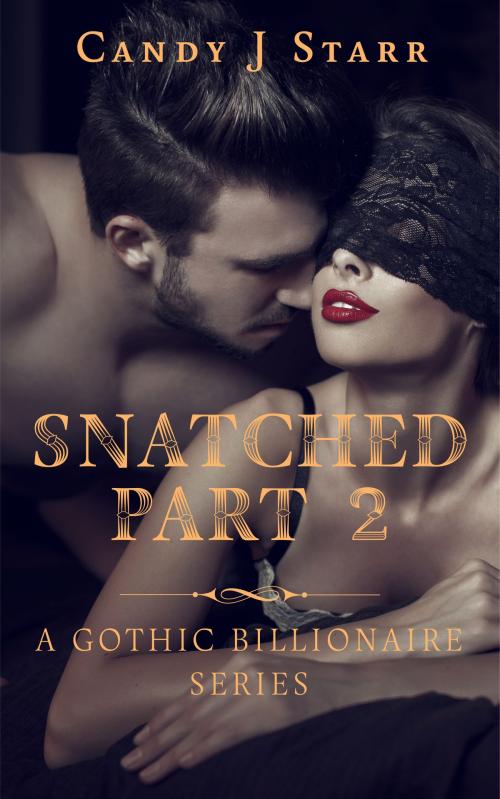 Cover of the book Snatched - Part 2 by Candy J Starr, Candy J Starr