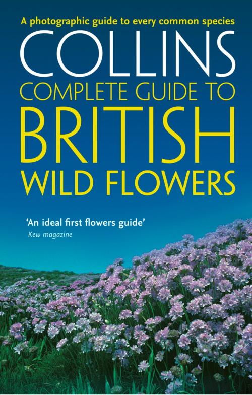 Cover of the book British Wild Flowers: A photographic guide to every common species (Collins Complete Guide) by Paul Sterry, HarperCollins Publishers