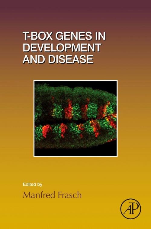 Cover of the book T-box Genes in Development and Disease by Manfred Frasch, Elsevier Science