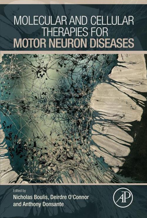 Cover of the book Molecular and Cellular Therapies for Motor Neuron Diseases by , Elsevier Science
