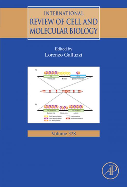 Cover of the book International Review of Cell and Molecular Biology by Lorenzo Galluzzi, Elsevier Science
