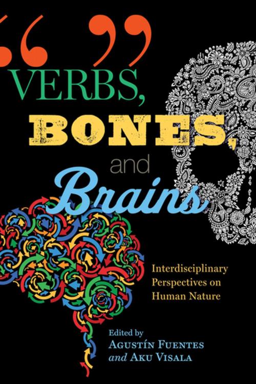 Cover of the book Verbs, Bones, and Brains by , University of Notre Dame Press