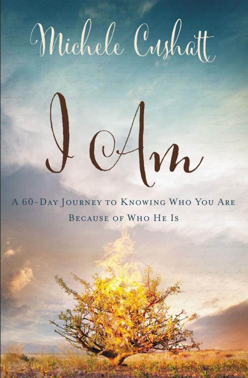 Cover of the book I Am by Michele Cushatt, Zondervan