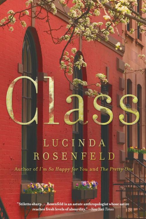 Cover of the book Class by Lucinda Rosenfeld, Little, Brown and Company