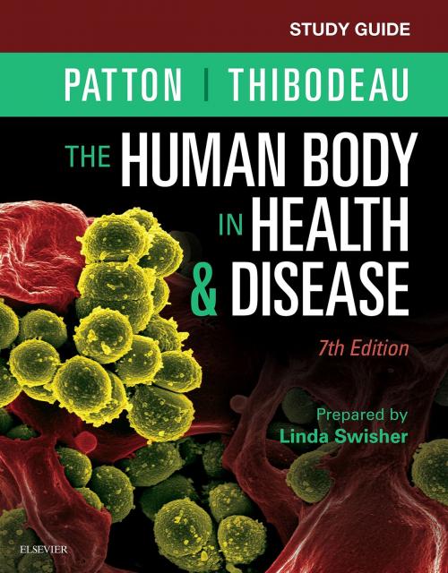 Cover of the book Study Guide for The Human Body in Health & Disease - E-Book by Linda Swisher, RN, EdD, Kevin T. Patton, PhD, Gary A. Thibodeau, PhD, Elsevier Health Sciences