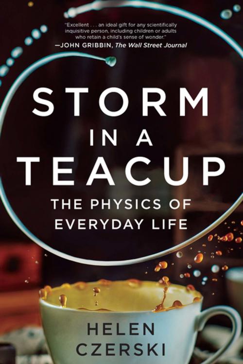 Cover of the book Storm in a Teacup: The Physics of Everyday Life by Helen Czerski, W. W. Norton & Company