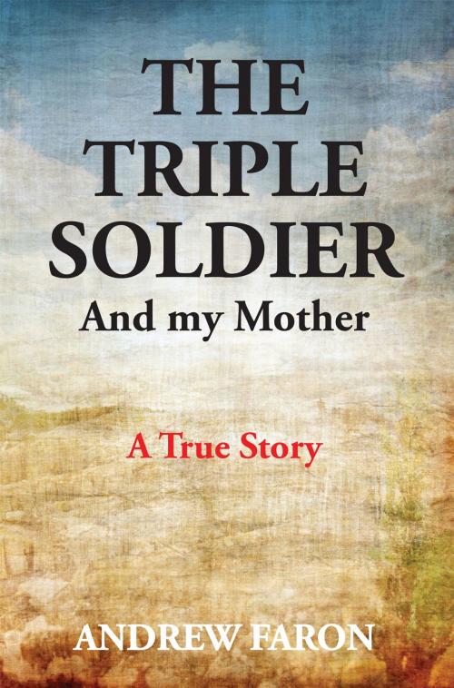 Cover of the book THE TRIPLE SOLDIER by Andrew Faron, Publicious Book Publishing