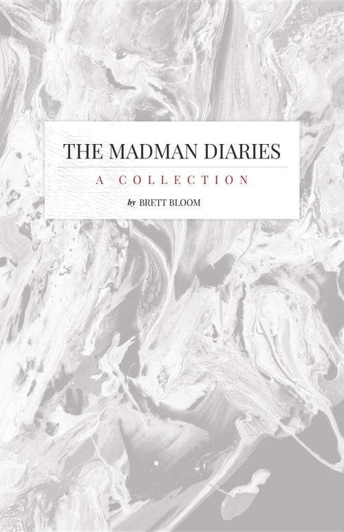 Cover of the book The Madman Diaries by Brett Bloom, Brett Bloom