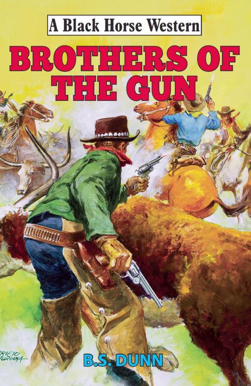 Cover of the book Brothers of The Gun by B.S. Dunn, Robert Hale