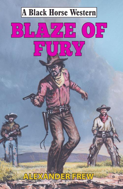 Cover of the book Blaze of Fury by Alexander Frew, Robert Hale
