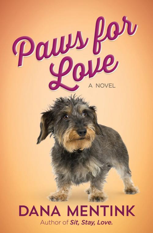 Cover of the book Paws for Love by Dana Mentink, Harvest House Publishers