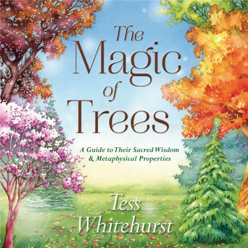 Cover of the book The Magic of Trees by Tess Whitehurst, Llewellyn Worldwide, LTD.