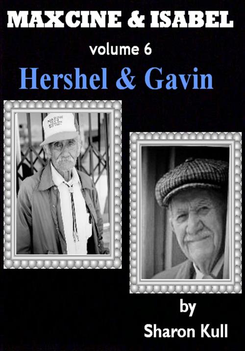 Cover of the book Hershel & Gavin by Sharon Kull, SynergEbooks