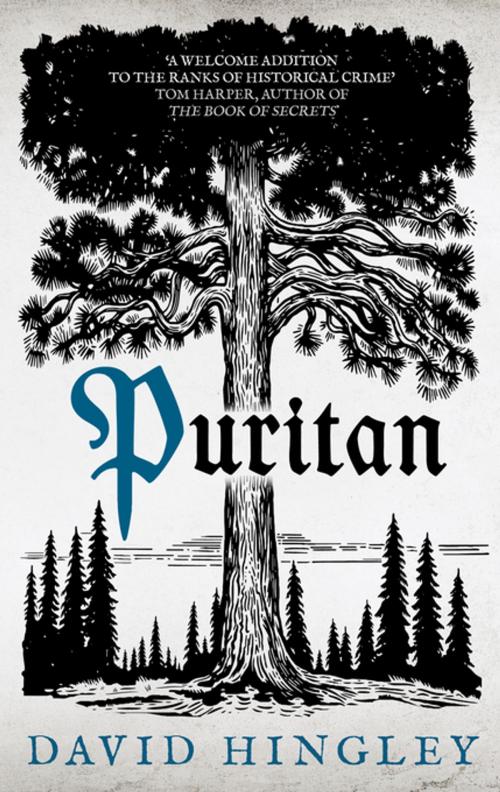 Cover of the book Puritan by David Hingley, Allison & Busby
