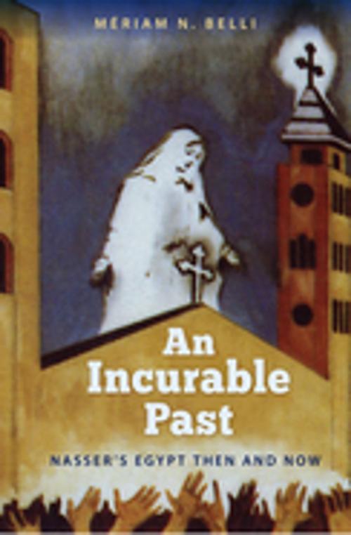Cover of the book An Incurable Past by Mériam N. Belli, University Press of Florida