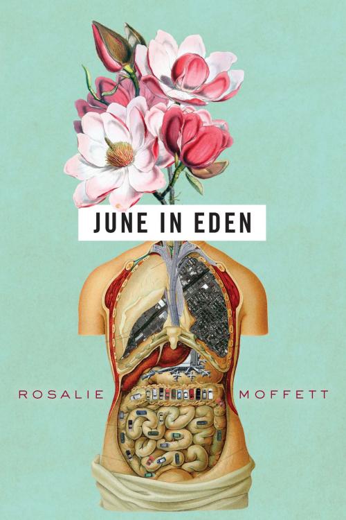 Cover of the book June in Eden by Rosalie Moffett, Ohio State University Press