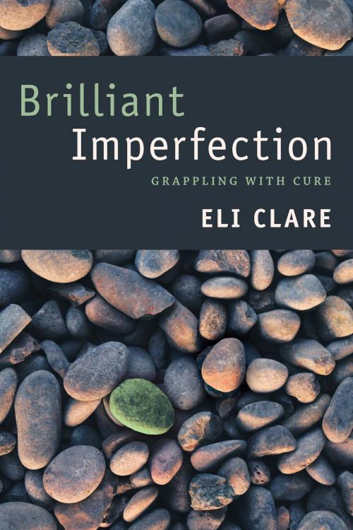Cover of the book Brilliant Imperfection by Eli Clare, Duke University Press
