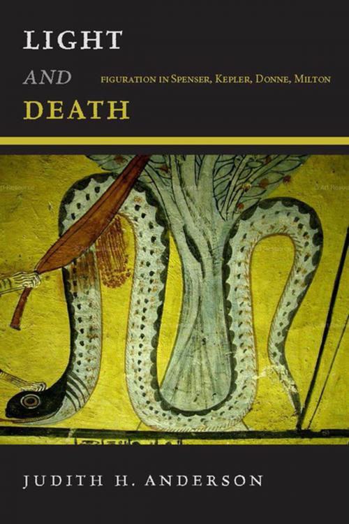 Cover of the book Light and Death by Judith H. Anderson, Fordham University Press