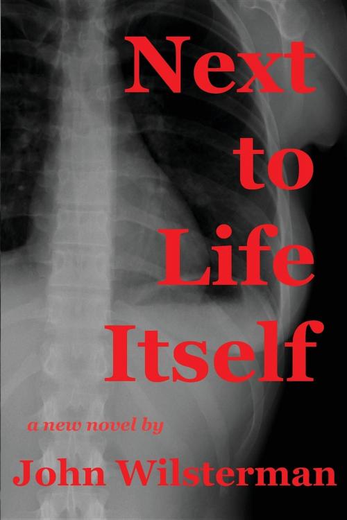 Cover of the book Next to Life Itself by John Wilsterman, Wave Writer Publications