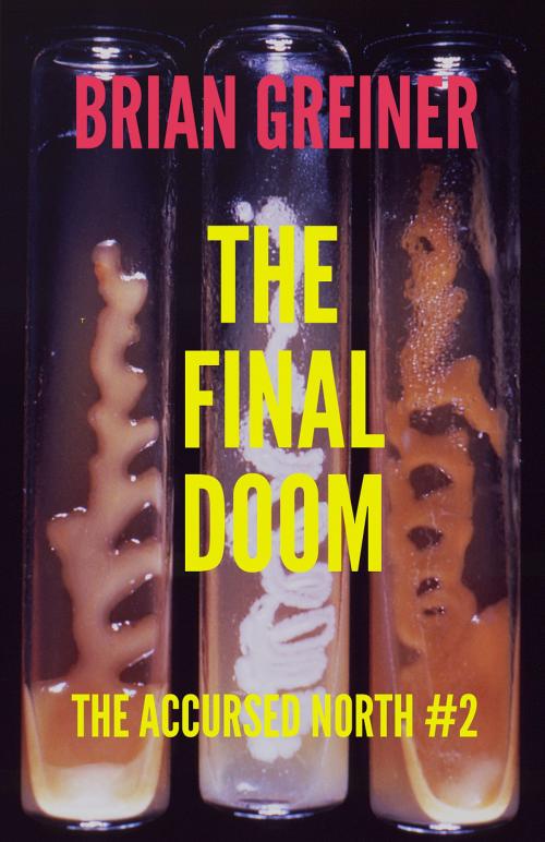Cover of the book The Final Doom by Brian Greiner, Damn Fool Press