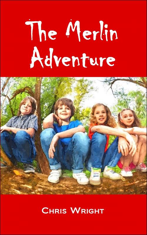 Cover of the book The Merlin Adventure by Chris Wright, White Tree Publishing